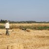 Αγωνες Α.Κ.Ι 11/6/2017